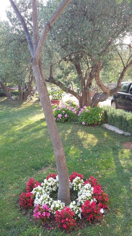Apartment Oaza Mira Tribalj Pokoj fotografie